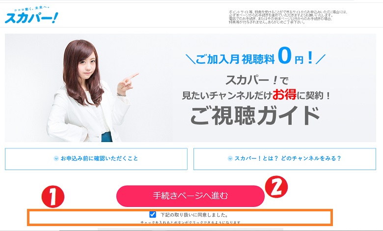 ミステリーチャンネル、アストリッドとラファエル、見るには